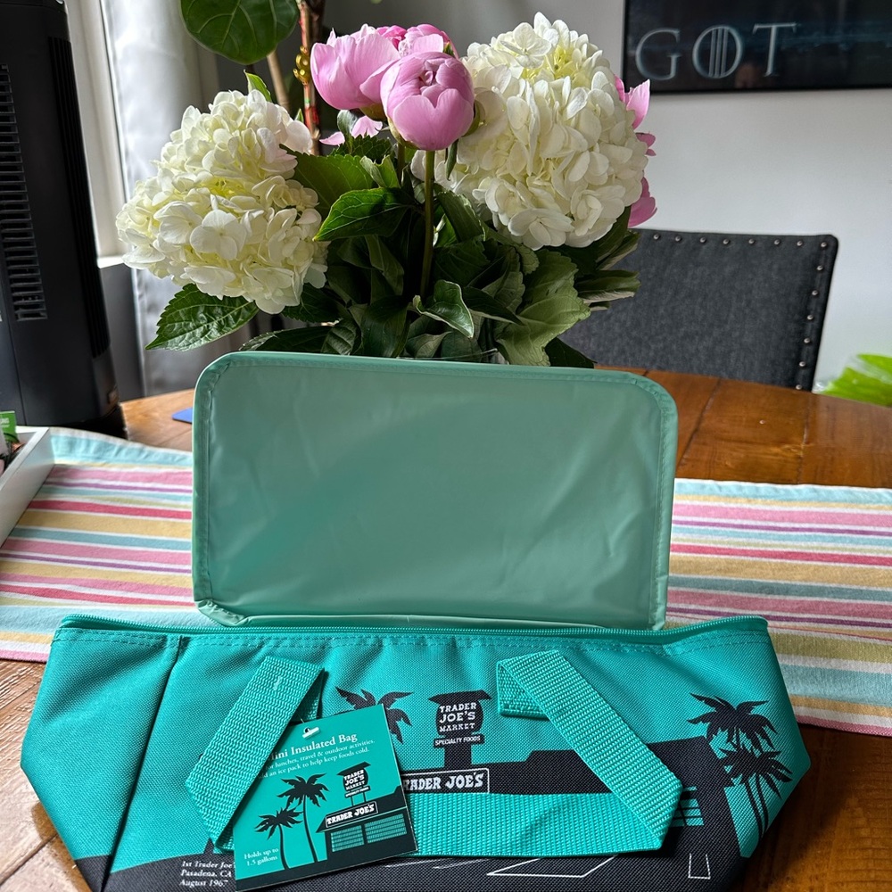 NWT Trader Joes mini insulated cooler bag *Teal* Limited edition color.